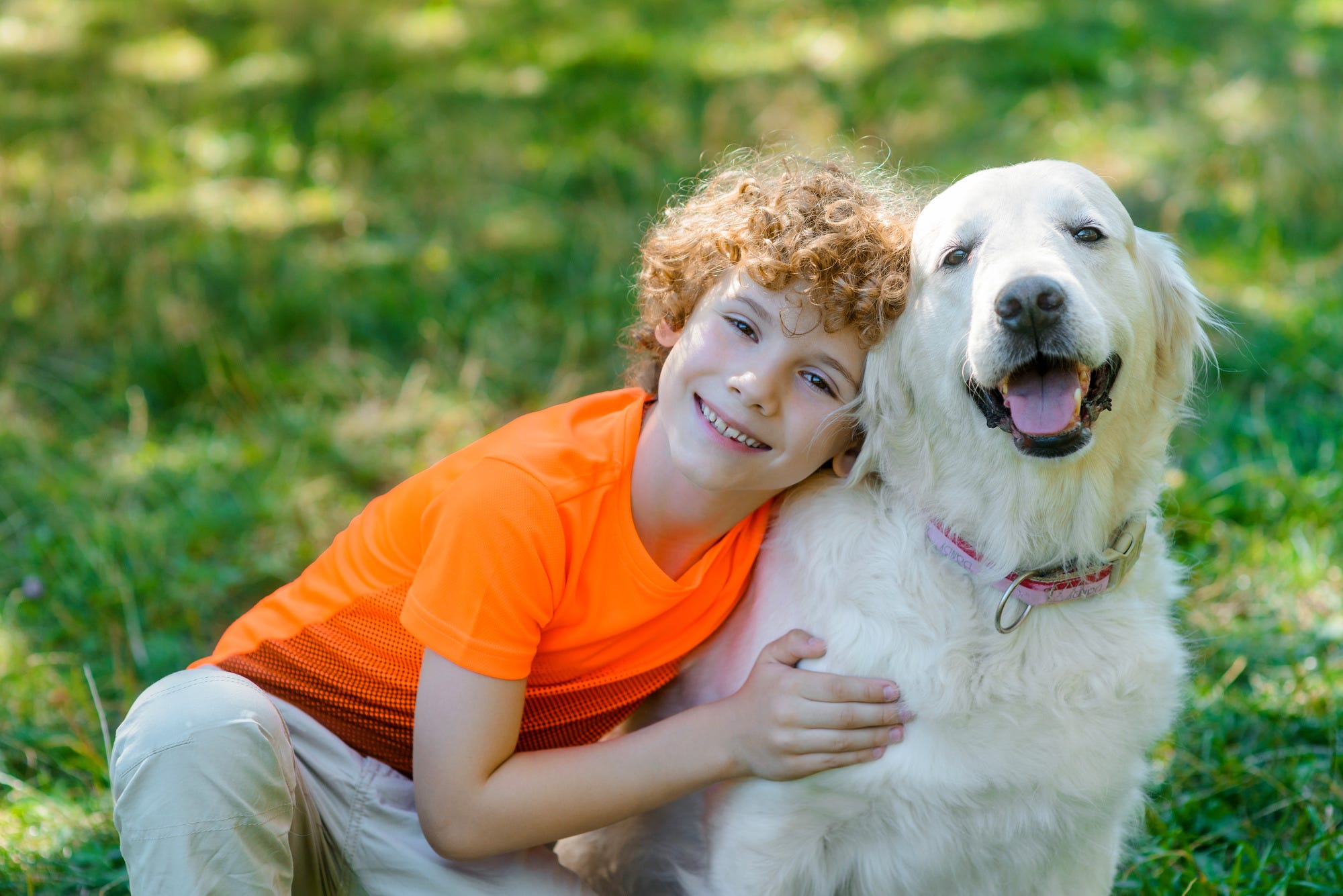 Little boy hugging golden retriever